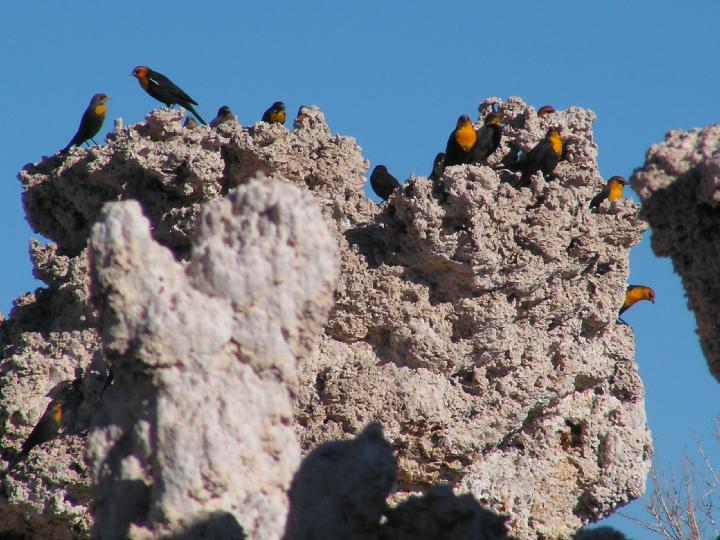 3519 Mono Lake 